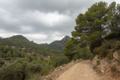 Road amidst trees and mountains against sky