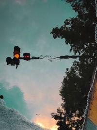Low angle view of trees against sky at sunset