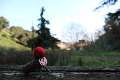 Close-up of toy against trees against sky