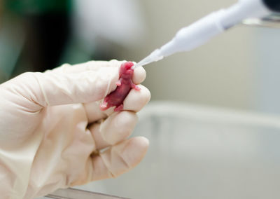 Close-up of person feeding newborn rat