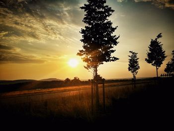 Silhouette trees on field against sky during sunset