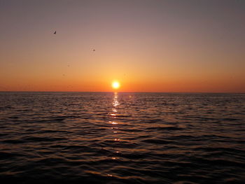 Scenic view of sea against orange sky