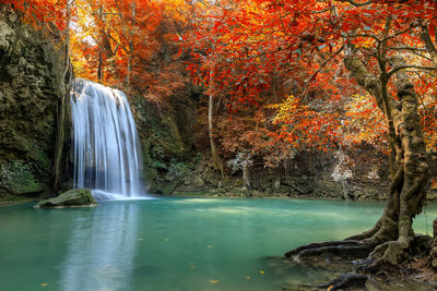 Scenic view of waterfall in forest during autumn