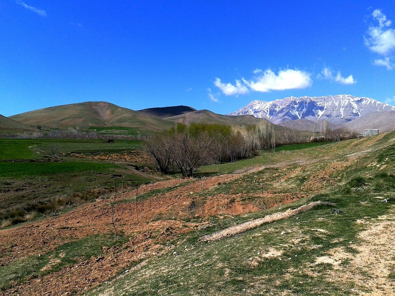 mountain, landscape, tranquil scene, tranquility, blue, scenics, mountain range, beauty in nature, sky, nature, grass, field, non-urban scene, plant, remote, countryside, growth, idyllic, day, rural scene