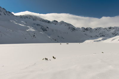 Scenic view of snowcapped mountains against sky