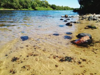 Rocks in river