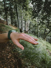 Person hand on plant in forest