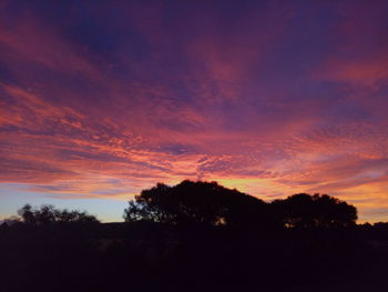 Silhouette trees against sky during sunset