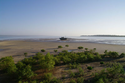 Scenic view of beach and sea against clear sky