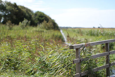 Wooden fence on field against sky