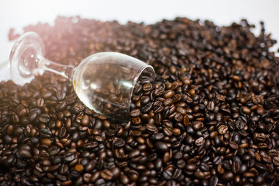 Close-up of coffee beans