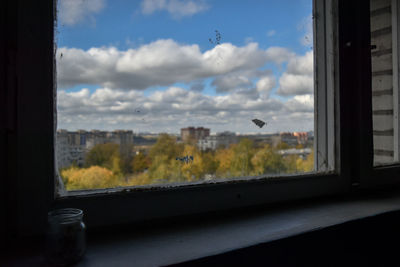 Close-up of bird seen through window