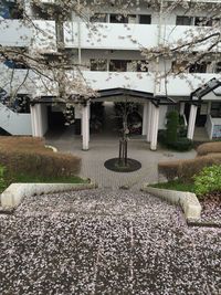 View of building with trees in foreground