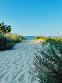 Scenic view of sea against clear sky