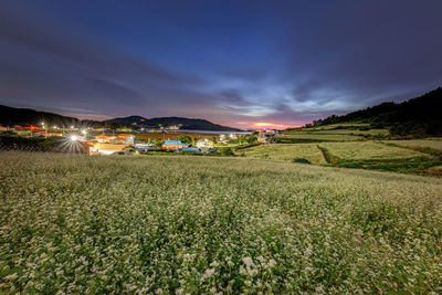 Scenic view of agricultural field against sky during sunset