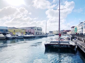 Sailboats in marina - bridgetown, barbados 