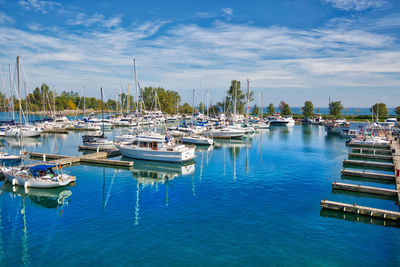 Sailboats moored in harbor