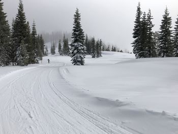 Cross-country ski track and skier on mountain ridge during stormy day