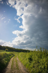 Dirt road along plants on field against sky