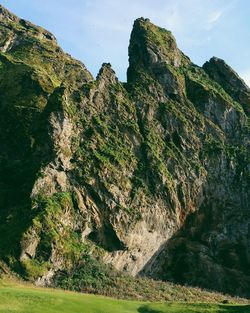 Low angle view of tree against sky