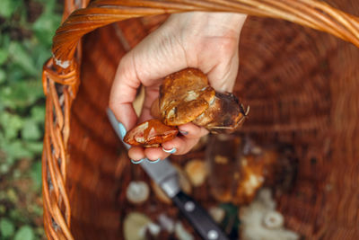 Close-up of woman hand holding mushroom