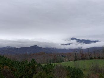 Scenic view of landscape against sky