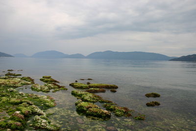 Scenic view of sea against cloudy sky