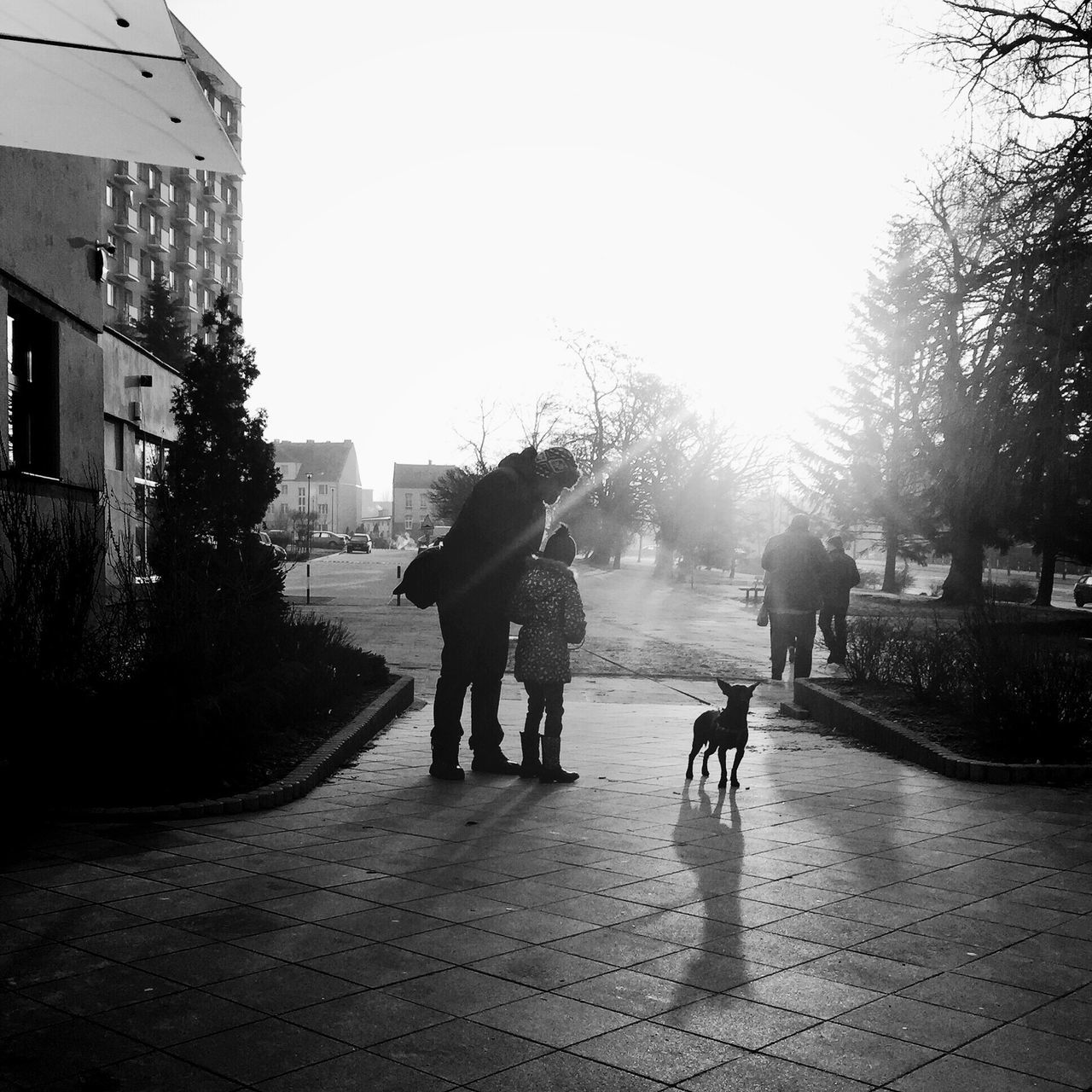 walking, lifestyles, street, building exterior, full length, men, architecture, built structure, clear sky, rear view, tree, sunlight, city, person, leisure activity, the way forward, city life, sun