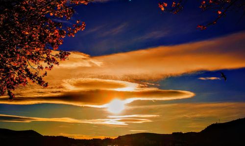 Low angle view of silhouette trees against dramatic sky