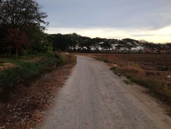 Road amidst trees against sky