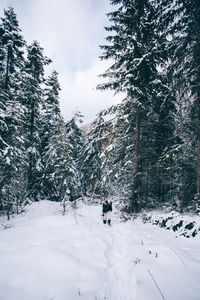 Person skiing on snow covered mountain against sky