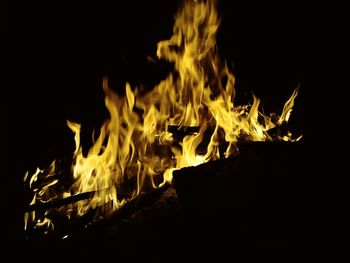 Close-up of bonfire