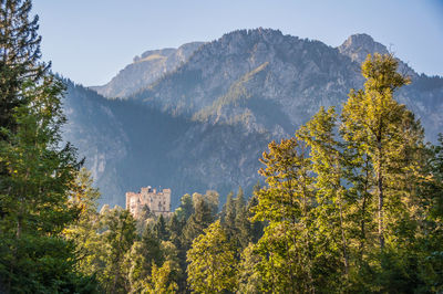 Trees and mountains against sky