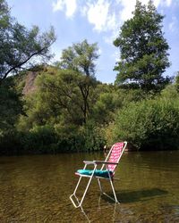 Empty chair in lake by trees