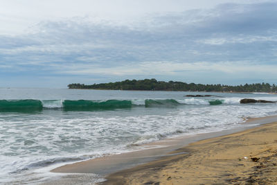 Tropical beach with palm trees. cloudy sky. arugam bay, sri lanka