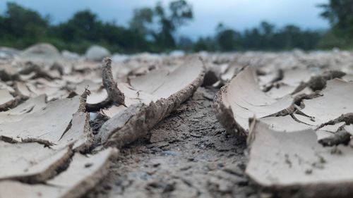 Close-up of sand on field against sky