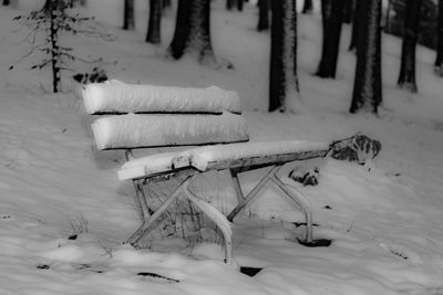 Snow covered field