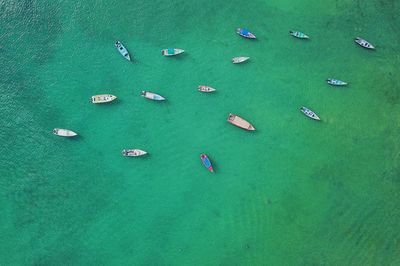 High angle view of sailboats in sea