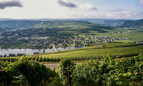 Scenic view of agricultural field by buildings against sky