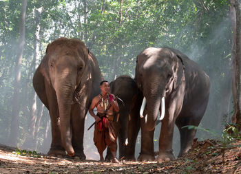 Man with elephant standing in forest