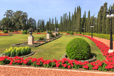 Scenic view of park