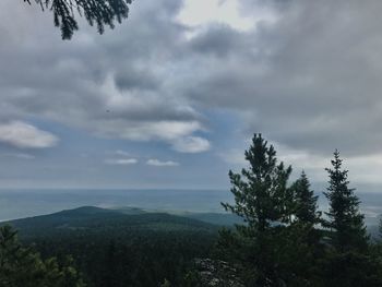 Scenic view of forest against sky