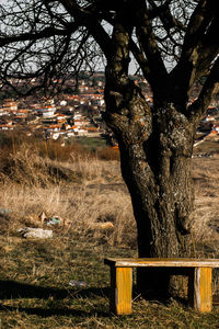 Man in autumn tree