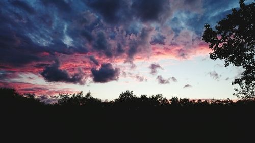 Silhouette of trees against cloudy sky