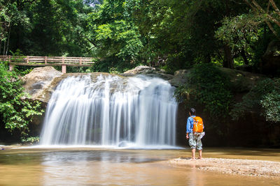 Man standing by waterfall in forest