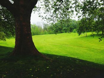 Scenic view of golf course against sky