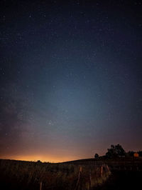 Low angle view of trees against sky at night