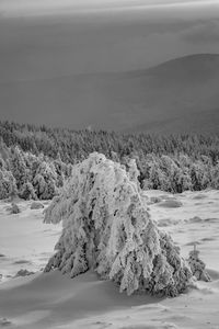 Scenic view of snow covered land against sky