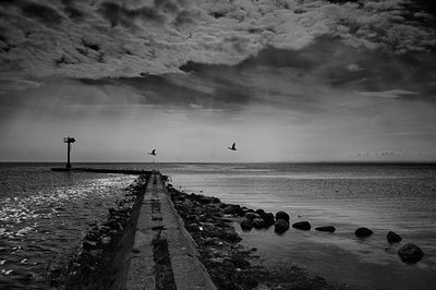 Seagulls flying over sea against sky during sunset