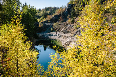 Scenic view of lake and trees